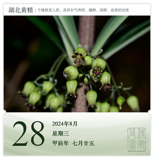 1722582424159649.png 箴歷日歷8-28.png