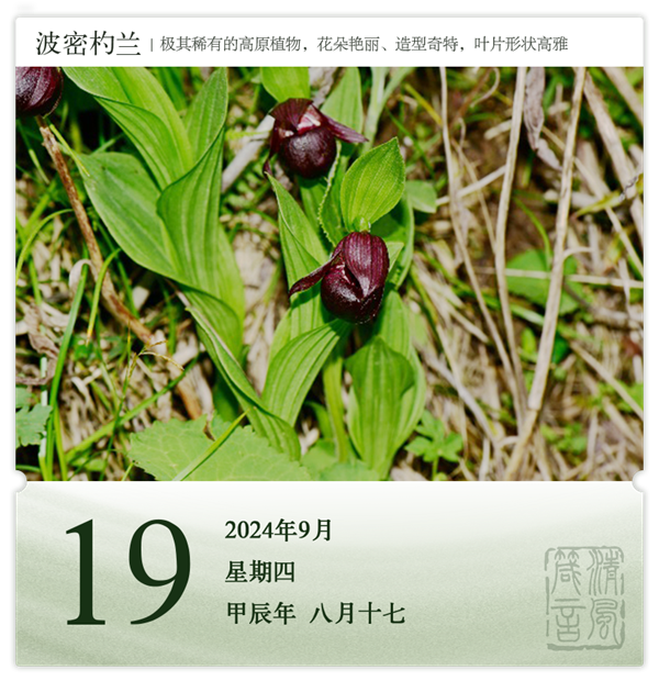 1726039528514123.png 箴歷日歷9-19.png