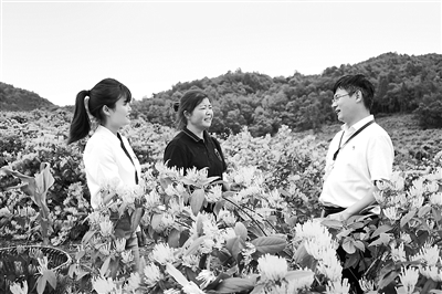 1726704637142400.jpg 2.jpg