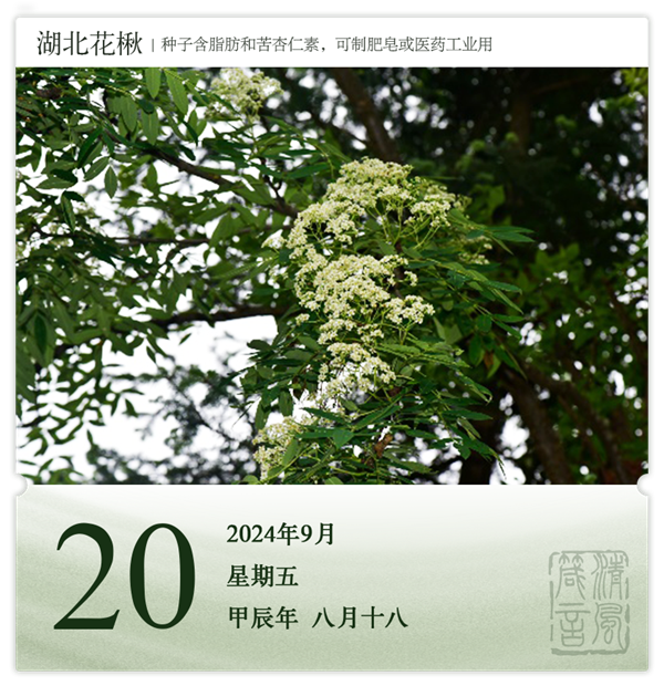 1726039588855480.png 箴歷日歷9-20.png