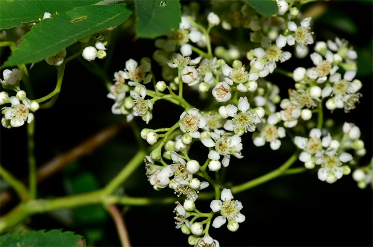 1726039595866496.jpg 20-2.jpg