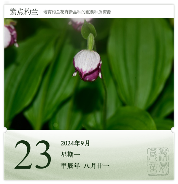 1726039818711117.png 箴歷日歷9-23.png