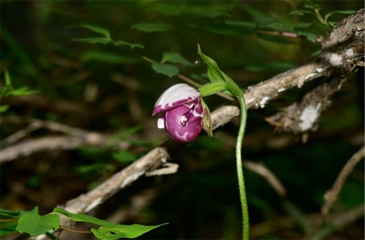 1726039826709778.jpg 23-2.jpg