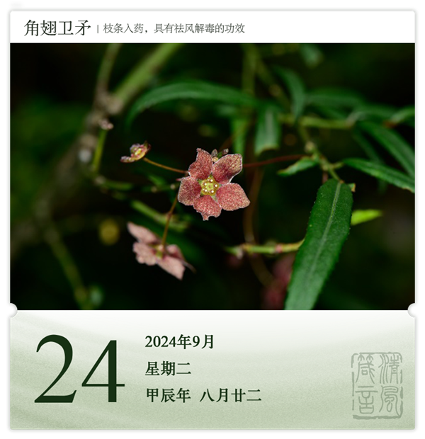 1726040354737466.png 箴歷日歷9-24.png