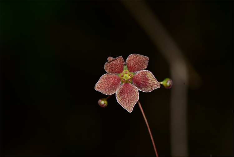 1726040364598145.png 24-2.png