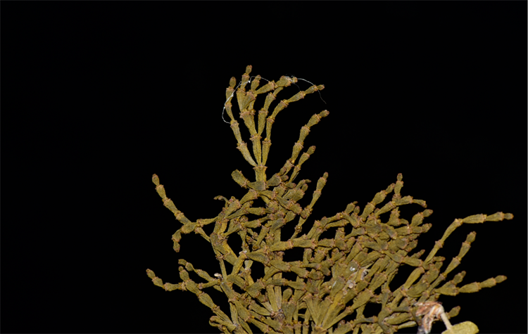 1726040411673362.png 25-2.png