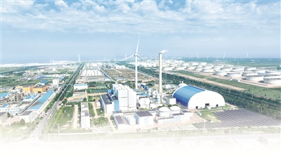 1727654929188010.jpg 8.jpg