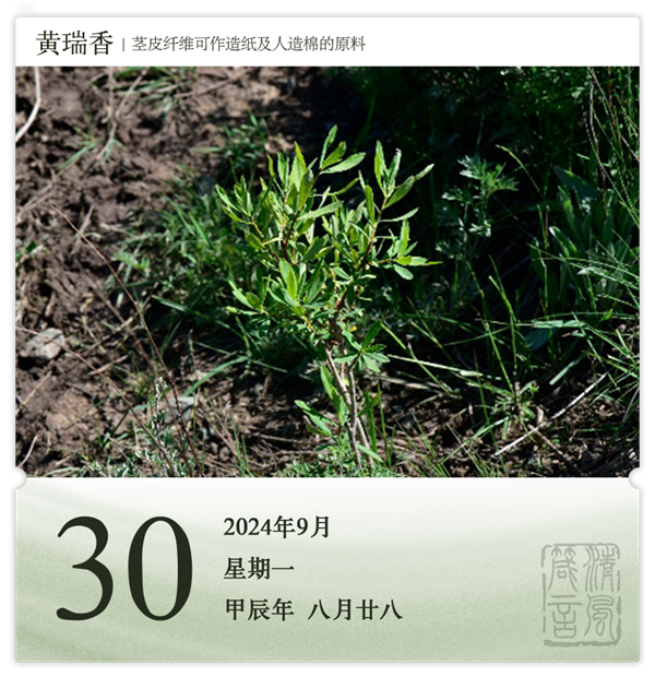 1726041269800490.png 箴歷日歷9-30.png