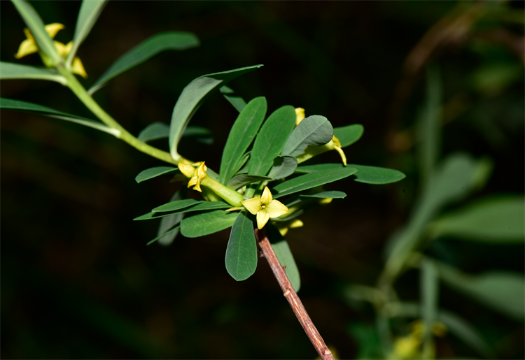 1726041289991518.png 30-2.png