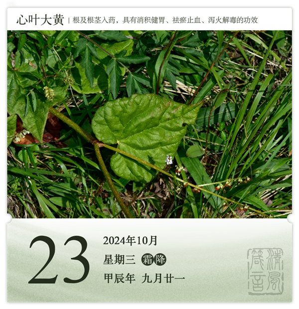 1729585936525581.png 箴歷日歷10-23.png