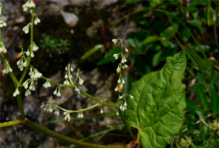 1729586024923806.jpg 23-2.jpg