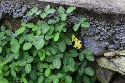 1742198102523467.jpg _0OB0852.JPG