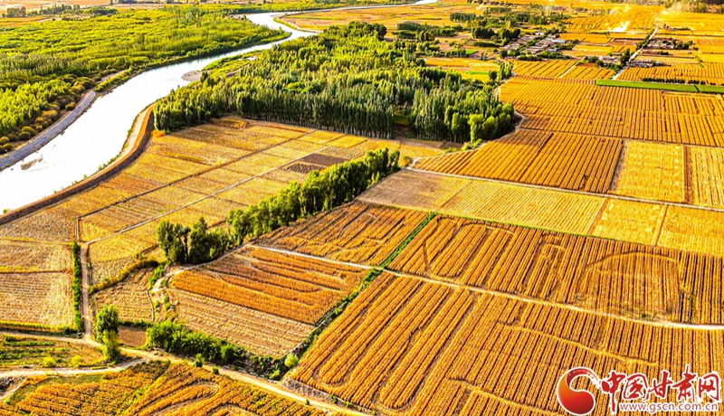 隴拍客|黑河兩岸“豐”景美